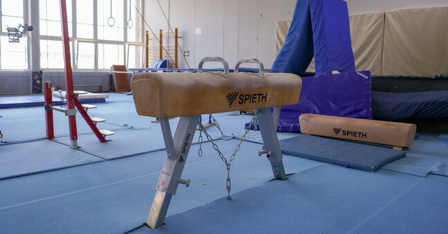 Gymnastics hall with pommel horse